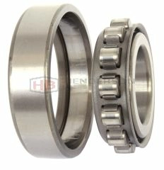 NF204 Cylindrical Roller Bearing Brand RHP 20x47x14mm