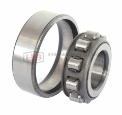 N205 Cylindrical Roller Bearing Budget Brand NEL 25x52x15mm