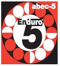 Enduro Abec5 Bearings